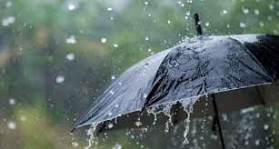 राज्यात पुढचे ४ दिवस महत्वाचे, विदर्भासह पश्चिम महाराष्ट्रात धो-धो; कोणत्या जिल्ह्यांना रेड अलर्ट?