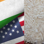 आमचा तांदूळ महाग, मग तुम्हाला कमी किंमतीत का विकू? भारत अमेरिकेत बासमती तांदळावरून वाद, थेट