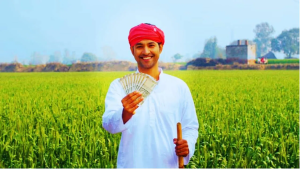 ‘या’ शेतकऱ्यांना मिळणार नाहीत ₹२०००, पीएम किसान योजनेबाबत महत्त्वाची अपडेट