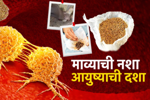 सोलापूरमधील तरुणाई माव्याच्या विळख्यात, नागरिकांकडून कॅन्सरचं विष पसरवणाऱ्यांवर कारवाईची मागणी