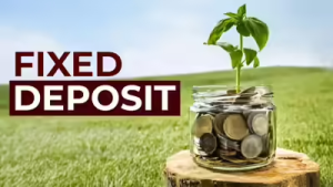 ‘ही’ FD ज्येष्ठ नागरिकांसाठी सर्वोत्तम, 8.10 टक्के दराने परतावा, जाणून घ्या