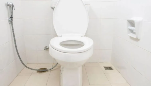 इथं चक्क टॉयलेटची होते पूजा, अगरबत्ती लावून…99 टक्के लोकांना माहितीच नाही ही अजब प्रथा!