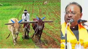 तर त्या शेतकर्‍यांचे फार्मर आयडी बंद , शासकीय योजनांपासून होणार वंचित, चंद्रशेखर बावनकुळेंचा थेट इशारा